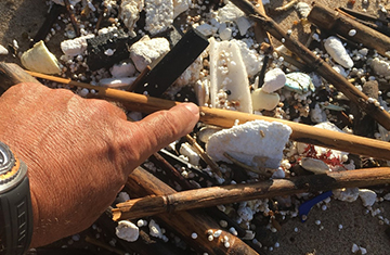Notícia Expressso : Ação de limpeza do mar em Cascais: o lixo que quase não se vê é tanto que se torna “chocante”