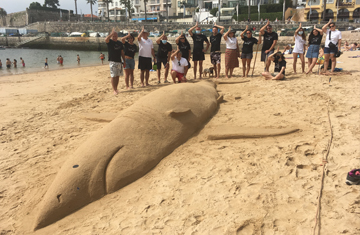 CONSTRUÇÃO NA AREIA EM CASCAIS - Semana do Tubarão